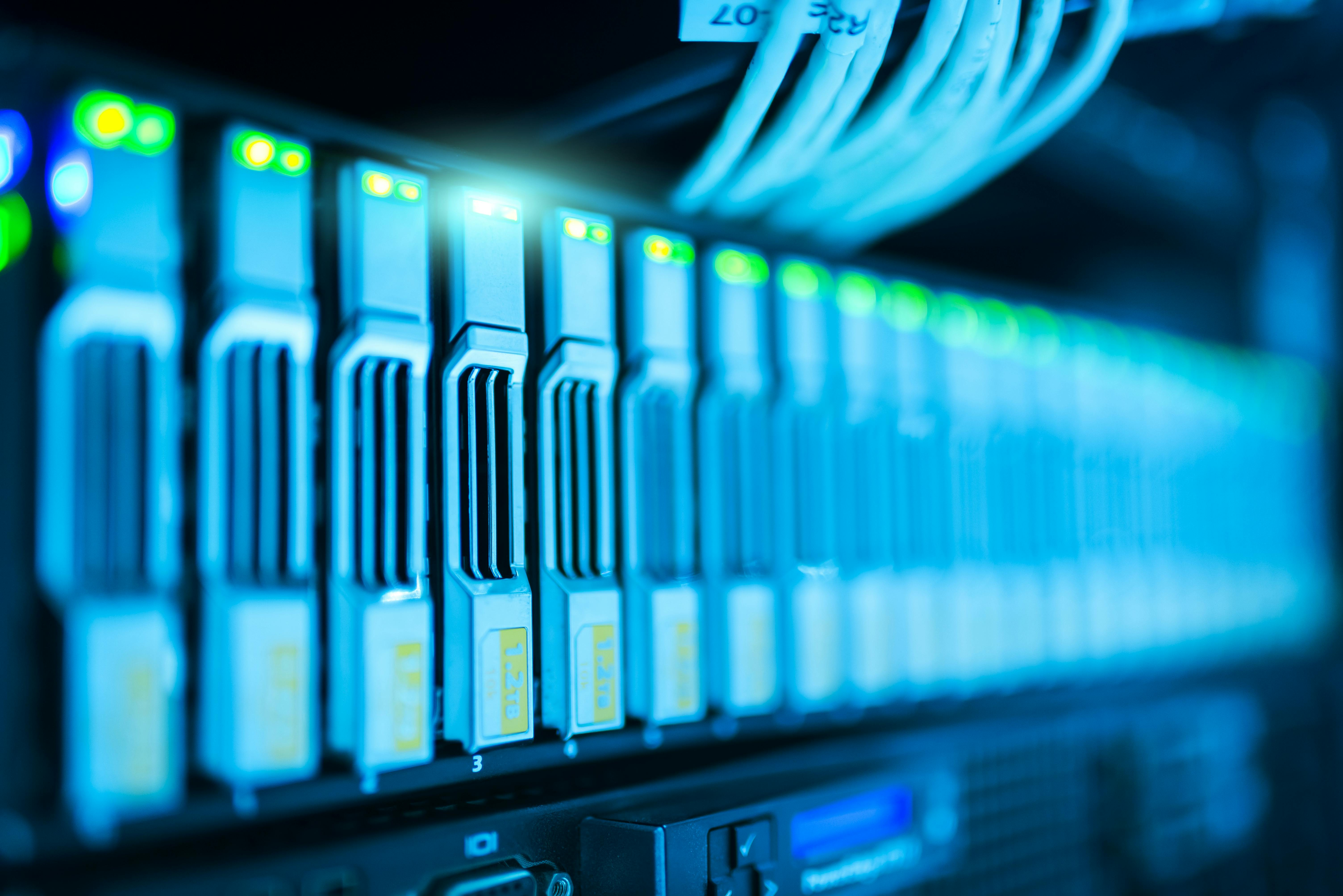 An image of LAN cables in a server to symbolize the technology behind networks.